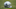 Jul 21, 2013; Oxnard, CA, USA; General view of a Dallas Cowboys helmet at training camp at the River Ridge Fields. Mandatory Credit: Kirby Lee-USA TODAY Sports Jul 21, 2013; Oxnard, CA, USA; General view of a Dallas Cowboys helmet at training camp at the River Ridge Fields. Mandatory Credit: Kirby Lee-USA TODAY Sports