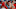 DFS MLB DFS MLB