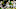 EUGENE, OR – NOVEMBER 19: Wide receiver Kris Hutson #1 of the Oregon Ducks runs the ball during the first quarter of the game against the Utah Utes at Autzen Stadium on November 19, 2022 in Eugene, Oregon. (Photo by Ali Gradischer/Getty Images) EUGENE, OR – NOVEMBER 19: Wide receiver Kris Hutson #1 of the Oregon Ducks runs the ball during the first quarter of the game against the Utah Utes at Autzen Stadium on November 19, 2022 in Eugene, Oregon. (Photo by Ali Gradischer/Getty Images)