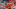 NFL Picks, Week 1 NFL Picks, Week 1