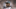 PHILADELPHIA, PA – AUGUST 22: DeMarco Murray PHILADELPHIA, PA – AUGUST 22: DeMarco Murray