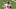 Philadelphia Eagles Marlon Tuipulotu Philadelphia Eagles Marlon Tuipulotu