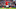 Fred, Manchester United