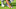 Tiger Woods PGA TOUR 2019 putting Tiger Woods PGA TOUR 2019 putting