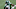 New York Jets New York Jets