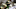 Rashard Higgins Rashard Higgins