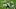 (Photo by Mark Brown/Getty Images) – New Orleans Saints (Photo by Mark Brown/Getty Images) – New Orleans Saints