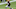 Kareem Hunt Kareem Hunt