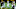 Michigan Football: Joe Milton
