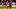 Toronto FC Toronto FC