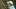Carlota Ciganda Tied for 2nd at Sunrise LPGA Taiwan Championship. Mandatory Credit: Ron Chenoy-USA TODAY Sports Carlota Ciganda Tied for 2nd at Sunrise LPGA Taiwan Championship. Mandatory Credit: Ron Chenoy-USA TODAY Sports