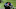Houston Texans Houston Texans