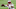 Chicago Bears, Cam Newton Chicago Bears, Cam Newton