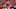 KANSAS CITY, MO – NOVEMBER 06: Linebacker Dee Ford KANSAS CITY, MO – NOVEMBER 06: Linebacker Dee Ford