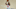 Boston Celtics (Photo by Sarah Stier/Getty Images) Boston Celtics (Photo by Sarah Stier/Getty Images)