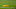 DENVER – SEPTEMBER 20: A penalty flag (Photo by Doug Pensinger/Getty Images) DENVER – SEPTEMBER 20: A penalty flag (Photo by Doug Pensinger/Getty Images)