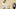 Golden State Warriors Golden State Warriors