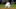 New York Yankees New York Yankees