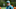 Philadelphia Eagles Philadelphia Eagles