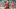 Liverpool, John Barnes Liverpool, John Barnes