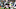Matt Breida, K.J. Wright, Seahawks, 49ers