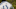 Indianapolis Colts Indianapolis Colts