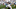 Auburn football (Photo by Kirby Lee/Getty Images) Auburn football (Photo by Kirby Lee/Getty Images)