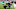EAST RUTHERFORD, NJ – OCTOBER 15: Tight end Austin Seferian-Jenkins EAST RUTHERFORD, NJ – OCTOBER 15: Tight end Austin Seferian-Jenkins