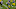 Green Bay Packers Green Bay Packers