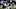 New England Patriots New England Patriots