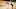 Memphis Grizzlies LeBron James Lakers Memphis Grizzlies LeBron James Lakers
