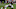 Auburn football Auburn football