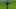 Luis Suarez Luis Suarez
