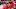 RALEIGH, NC – MARCH 28: Alex Nedeljkovic #35 of the Carolina Hurricanes is photographed in the bench area during an NHL game against the Detroit Red Wings on March 28, 2017 at PNC Arena in Raleigh, North Carolina. (Photo by Gregg Forwerck/NHLI via Getty Images) RALEIGH, NC – MARCH 28: Alex Nedeljkovic #35 of the Carolina Hurricanes is photographed in the bench area during an NHL game against the Detroit Red Wings on March 28, 2017 at PNC Arena in Raleigh, North Carolina. (Photo by Gregg Forwerck/NHLI via Getty Images)