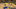 https://cdn.fansided.com/gif/3-9.gif https://cdn.fansided.com/gif/3-9.gif