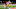 2021 NFL Mock Draft 2021 NFL Mock Draft