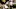 Jeff Blake-USA TODAY Sports Jeff Blake-USA TODAY Sports