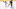 Buffalo Sabres Buffalo Sabres