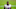 Philadelphia Eagles John Brown