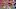 KANSAS CITY, MO – JANUARY 6: Tight end Travis Kelce KANSAS CITY, MO – JANUARY 6: Tight end Travis Kelce