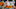 Tennessee Vols Tennessee Vols