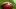 Nov 9, 2014; Glendale, AZ, USA; Detailed view of a Salute to Service military appreciation logo on an official Wilson football during the NFL game between the St. Louis Rams against the Arizona Cardinals at University of Phoenix Stadium. The Cardinals defeated the Rams 31-14. Mandatory Credit: Mark J. Rebilas-USA TODAY Sports Nov 9, 2014; Glendale, AZ, USA; Detailed view of a Salute to Service military appreciation logo on an official Wilson football during the NFL game between the St. Louis Rams against the Arizona Cardinals at University of Phoenix Stadium. The Cardinals defeated the Rams 31-14. Mandatory Credit: Mark J. Rebilas-USA TODAY Sports
