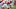 Sep 12, 2015; Louisville, KY, USA; /Houston Cougars quarterback Greg Ward Jr. (1) moves the ball against Louisville Cardinals defensive end Sheldon Rankins (98) during second half at Papa John Sep 12, 2015; Louisville, KY, USA; /Houston Cougars quarterback Greg Ward Jr. (1) moves the ball against Louisville Cardinals defensive end Sheldon Rankins (98) during second half at Papa John
