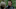 Josh McDermitt, The Walking Dead - AMC Josh McDermitt, The Walking Dead - AMC