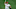 Philadelphia Phillies Philadelphia Phillies