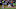 DraftKings DraftKings