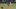 giancarlo-stanton-is-ridiculous giancarlo-stanton-is-ridiculous