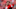 JT Daniels, Texas Football (Photo by Todd Kirkland/Getty Images) JT Daniels, Texas Football (Photo by Todd Kirkland/Getty Images)
