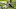 Jesse Johnson-USA TODAY Sports Jesse Johnson-USA TODAY Sports