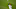 Philadelphia Phillies Philadelphia Phillies